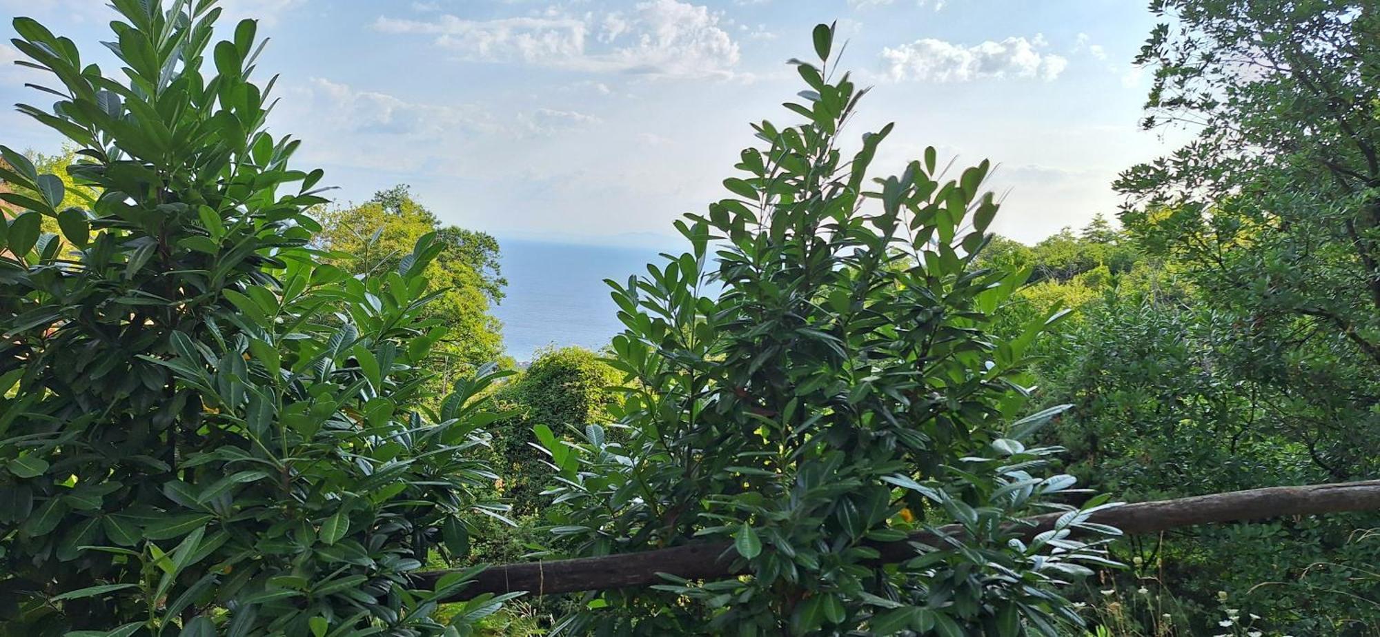 Kastania Gi Appartement Palaios Panteleimonas Buitenkant foto