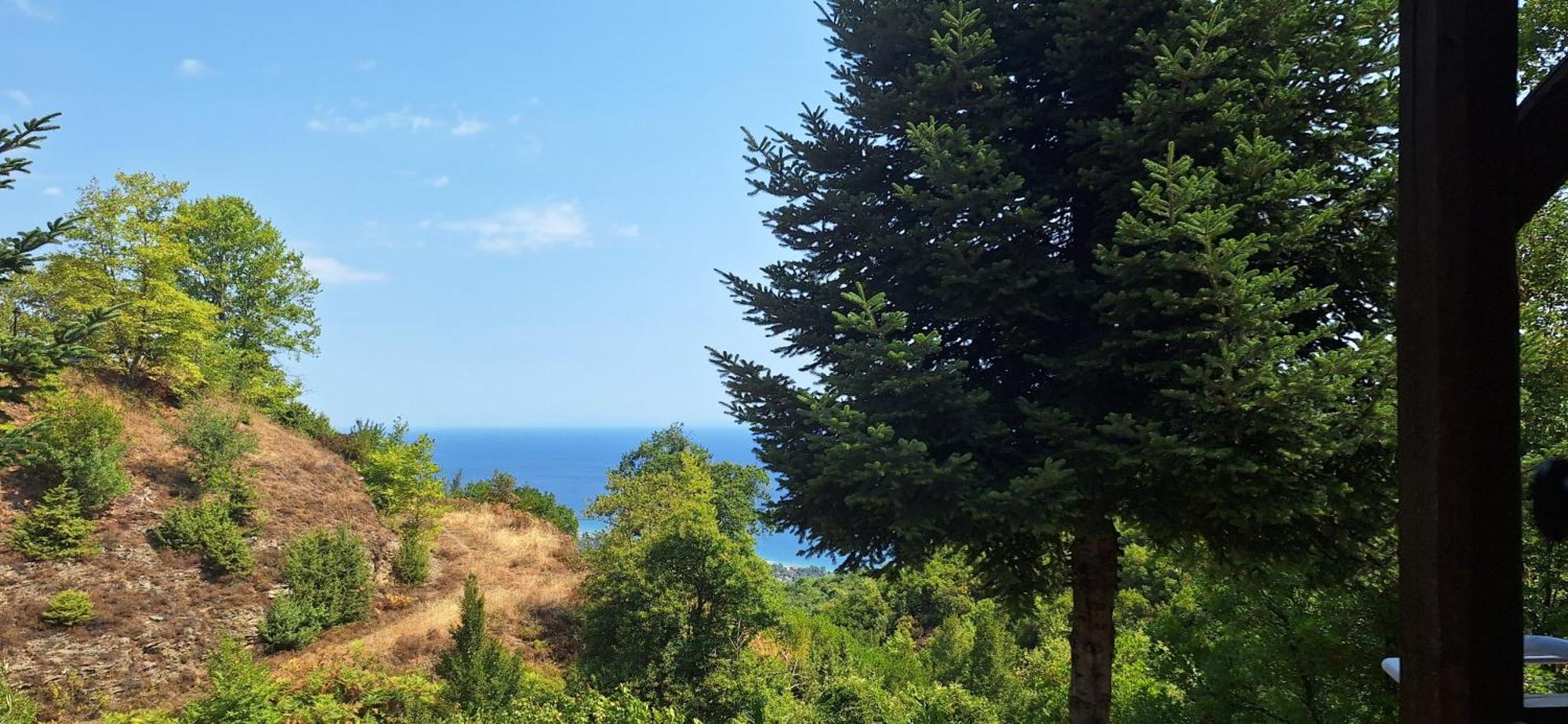 Kastania Gi Appartement Palaios Panteleimonas Buitenkant foto